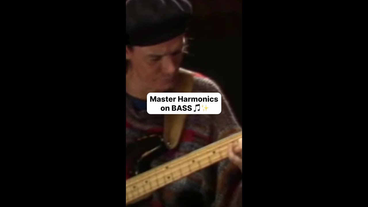 Мастер гармоники на басе 🎵✨