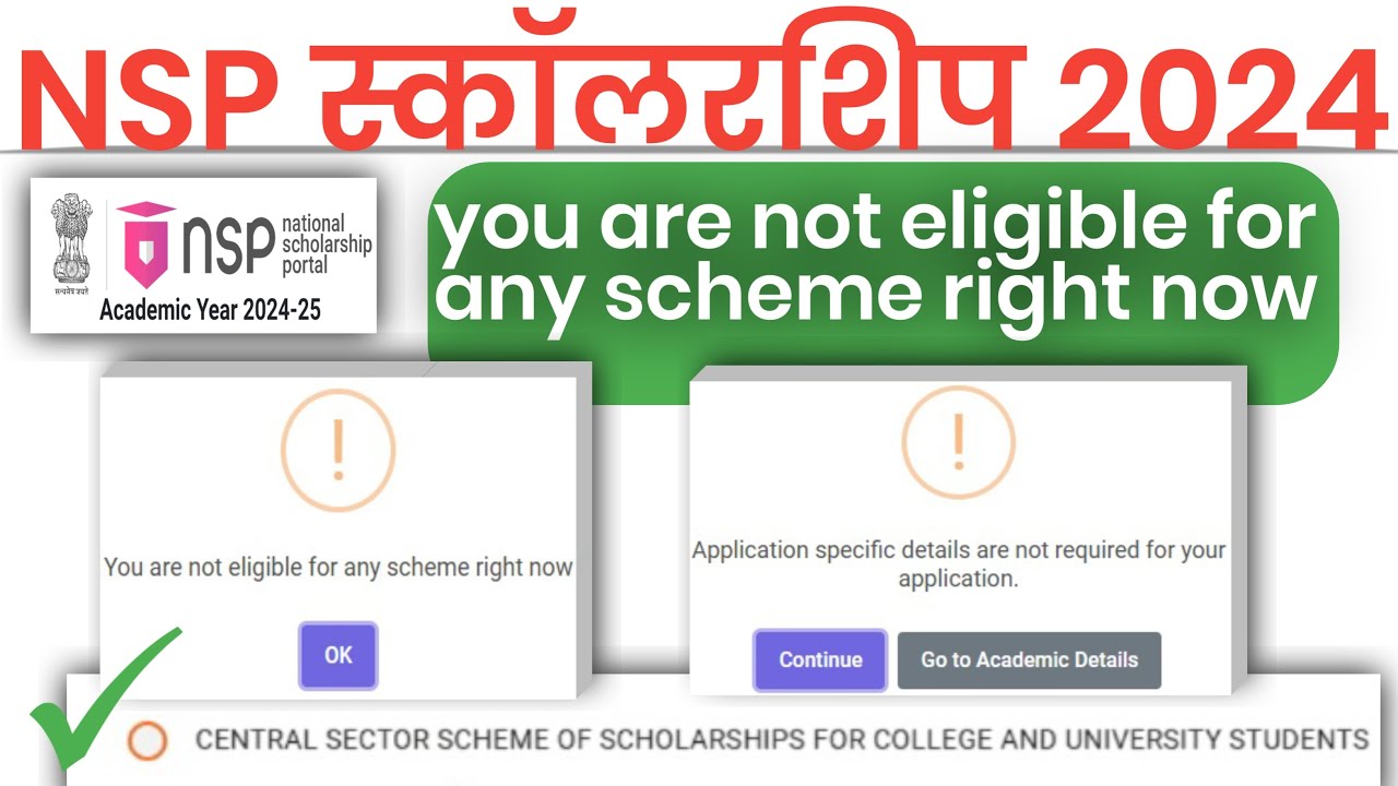 NSP Scholarship You Are Not Eligible 2024-25 ❌ | Application Specific Details NSP Problem Solved