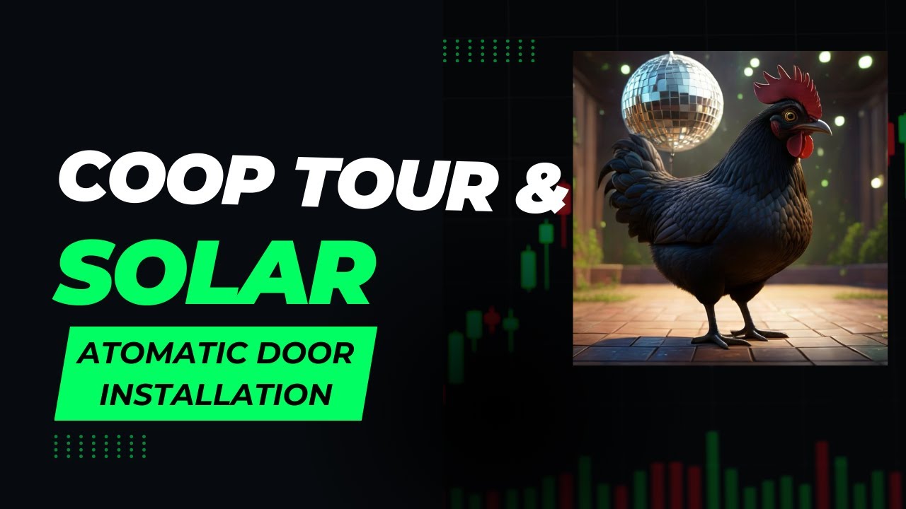 Main CHICKEN Coop Tour