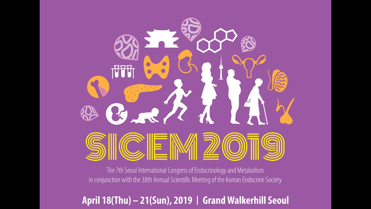 Welcome to SICEM 2019