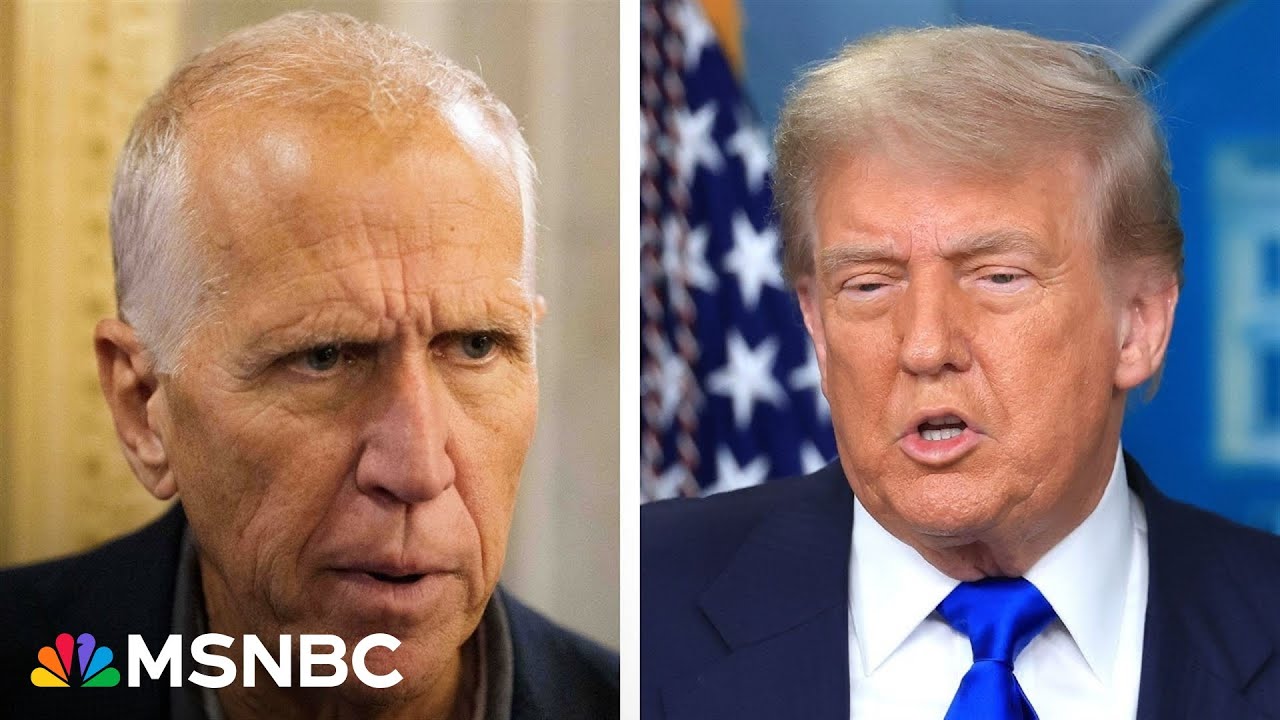 With Sen. Tillis' departure, Trump puts the Senate in play in 2026, says WSJ editorial board