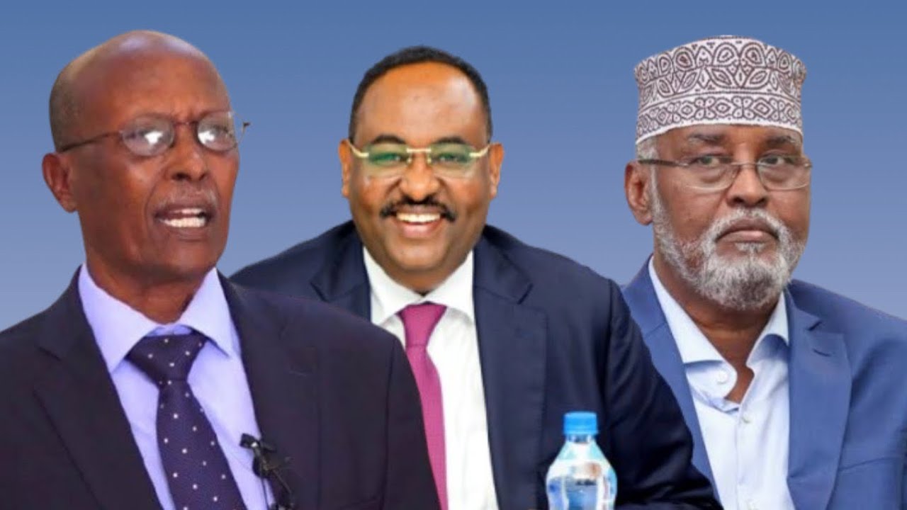Senator Cabdi Qaybdii oo si toos ah u sheegay in MW Axmed Madoobe & Saciid Deni u yimaadeen