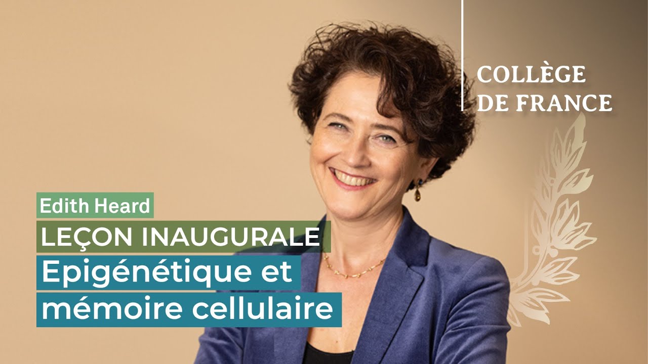 Epigénétique et mémoire cellulaire - Edith Heard (2012)