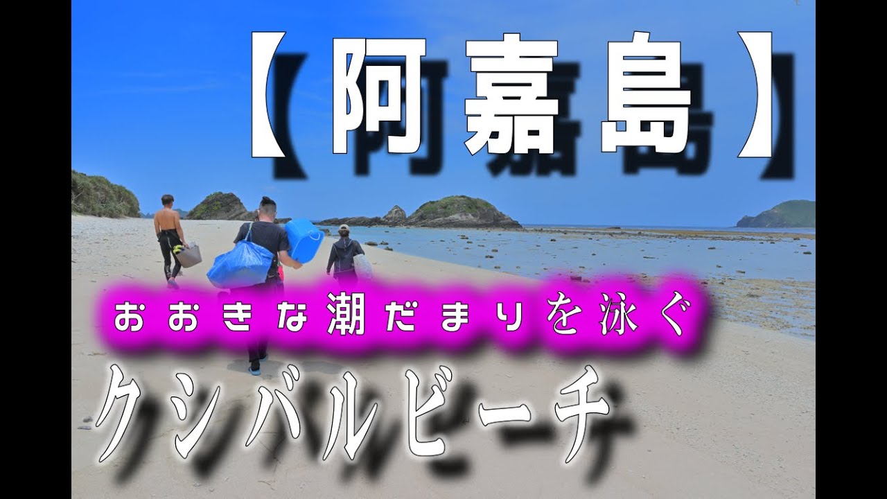 【阿嘉島】【クシバルビーチ】【スキンダイビング】【ポイント情報】沖縄県座間味村
