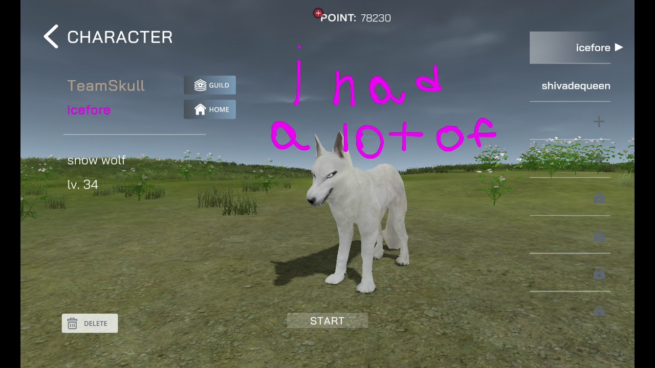 Playing wolf online 2 for some fun. |SHORT|.