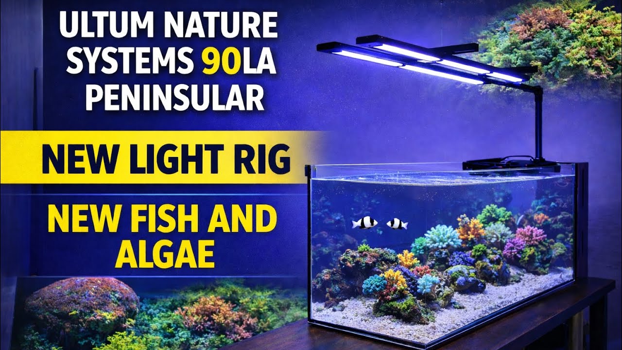 Ultum Nature Systems-UNS 90LA Peninsula: новая система освещения, обновленный аквариум для рыб и ...
