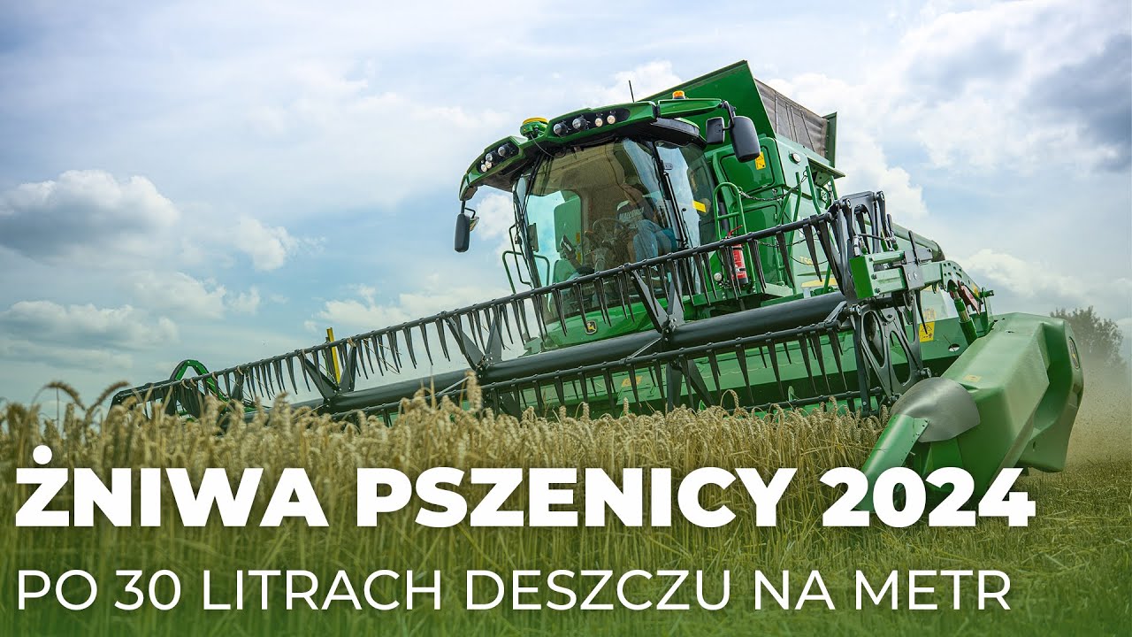 🔥 ŻNIWA PSZENICY 2024 🔥 JOHN DEERE T560i 🔥 | Rolnik Na Czasie