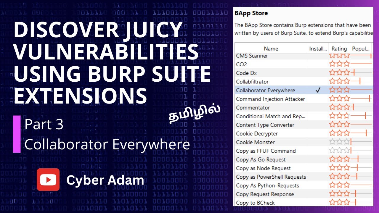 Discover Juicy Vulnerabilities Using BurpSuite Extensions - Collaborator Everywhere - Part 3