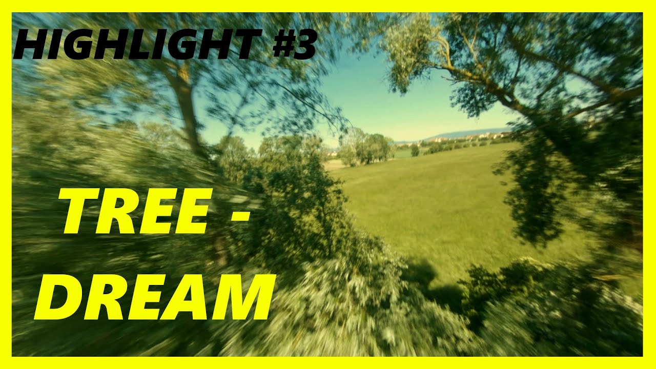 TREEDREAM - Close gaps and many more! | Freestyle Highlight #3 | DRS.FPV
