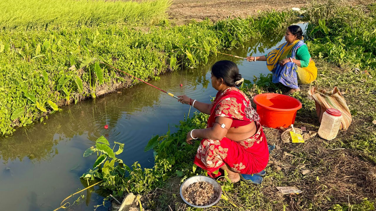 Fishing Video || Two expert fisherman fishing happily in the paddy field canal || Best hook trap