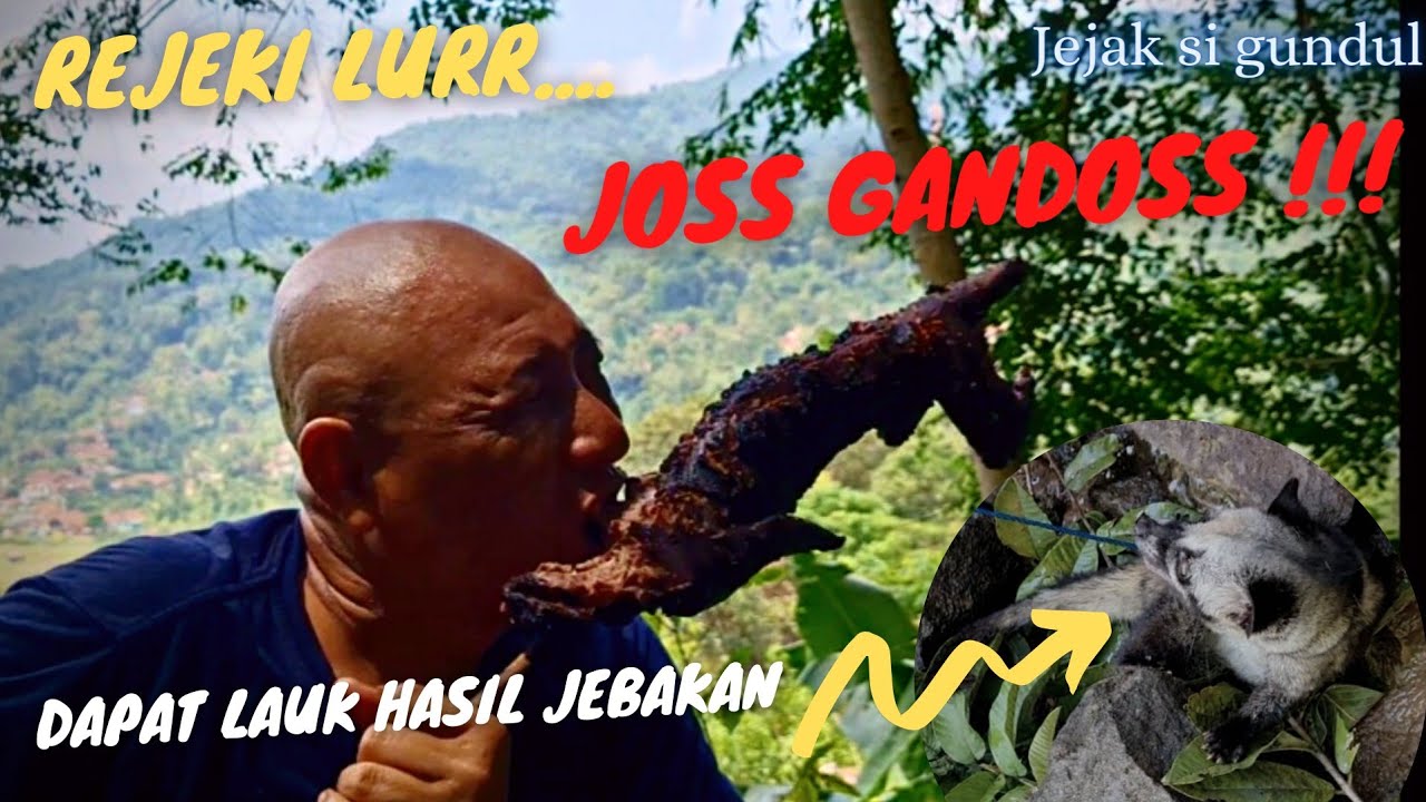 Jebak Musang pemangsa Ayam | Lanjut di bakar jadi lauk , Joss !!