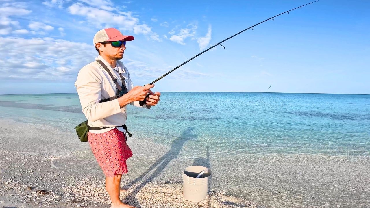 2 Hours Beach Snook Fishing Gulf Coast Florida