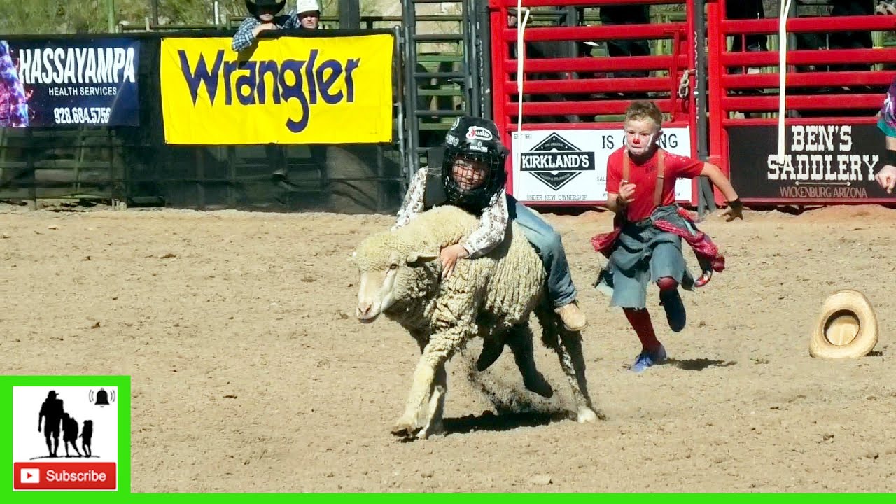 Катание на баранах - Родео "Легенды Запада" | Воскресенье, 2025 (цензурировано)