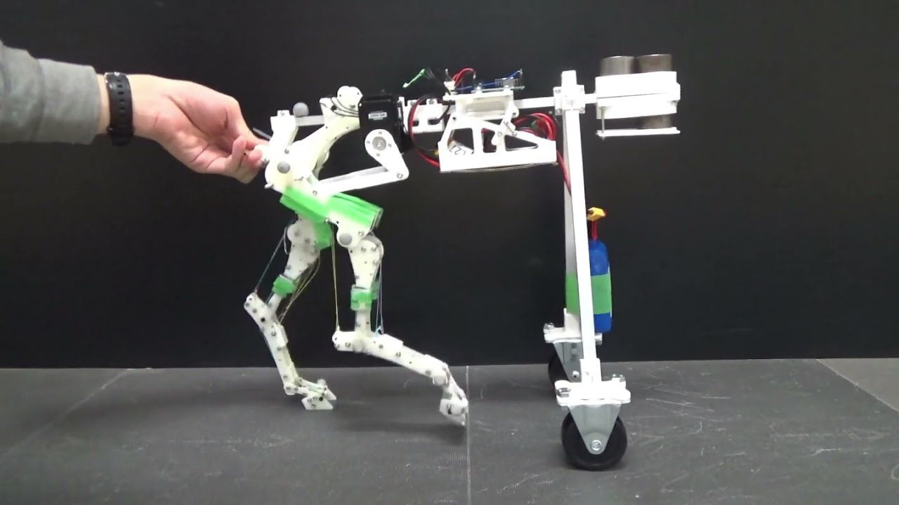 ウマの走行能力のヒミツに迫る　解剖学的な歩行ロボット Anatomical walking robot that uncovers the horses' running ability.