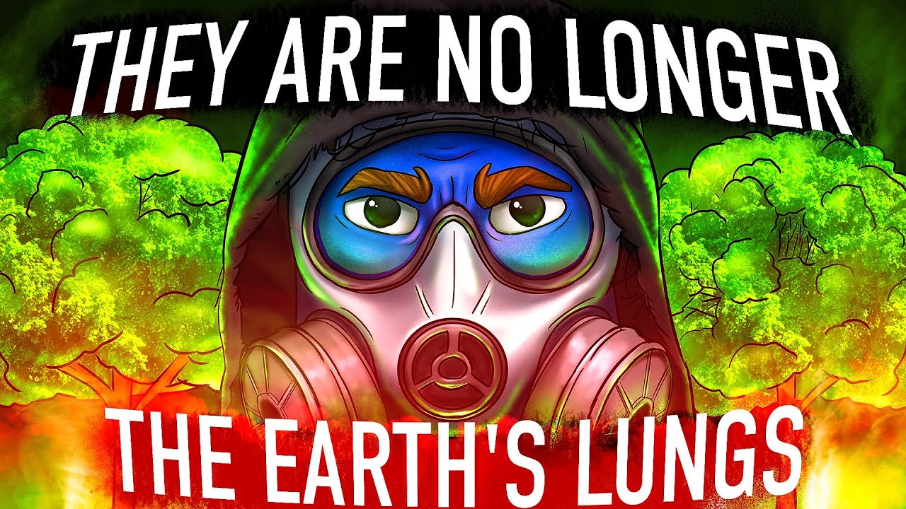 Why Trees Have Started to Consume Our Oxygen