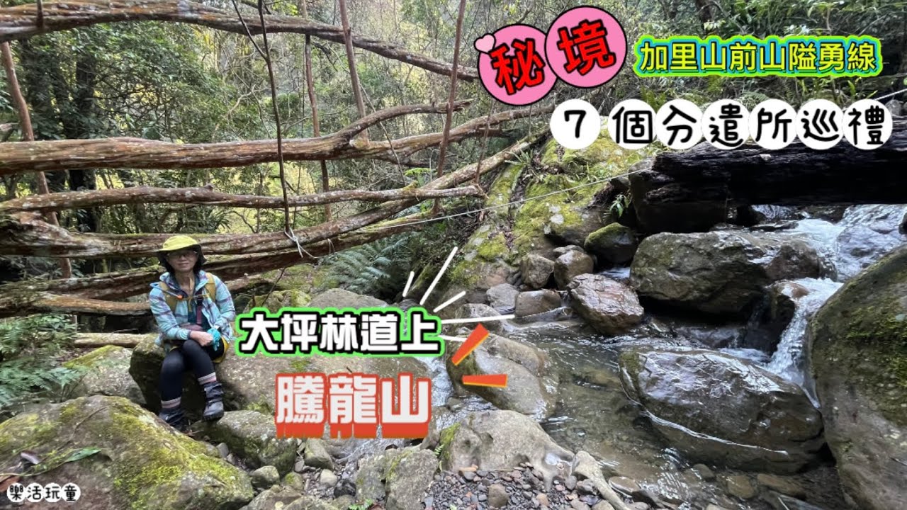 加里山前山隘勇線｜7個分遣所｜騰龍山[樂活玩童NO.174]2025/03/09