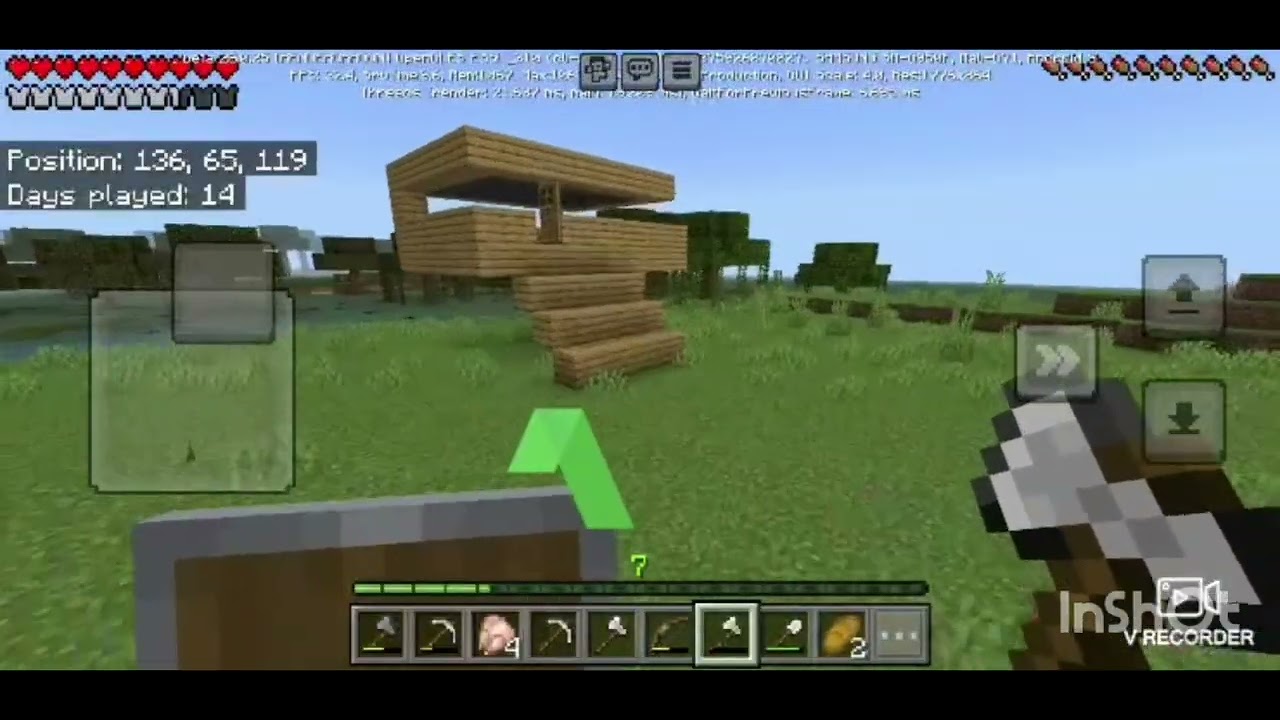 I found a pet in minecraft 