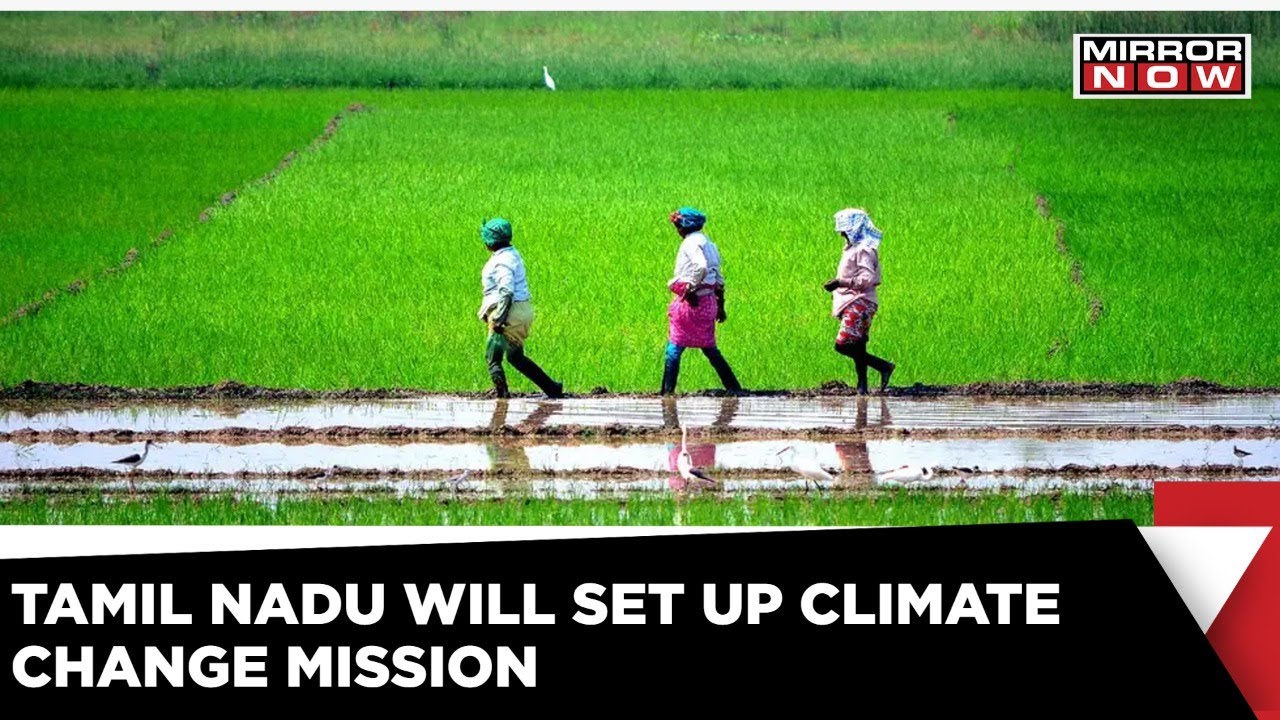 Tamil Nadu To Set Up Climate Change Mission In 38 Districts | Mirror Now | Latest News