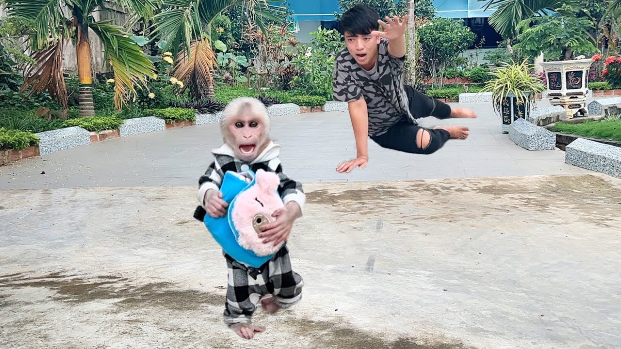 Monkey Luk secretly left home find mom and an unexpectedly ending with stranger