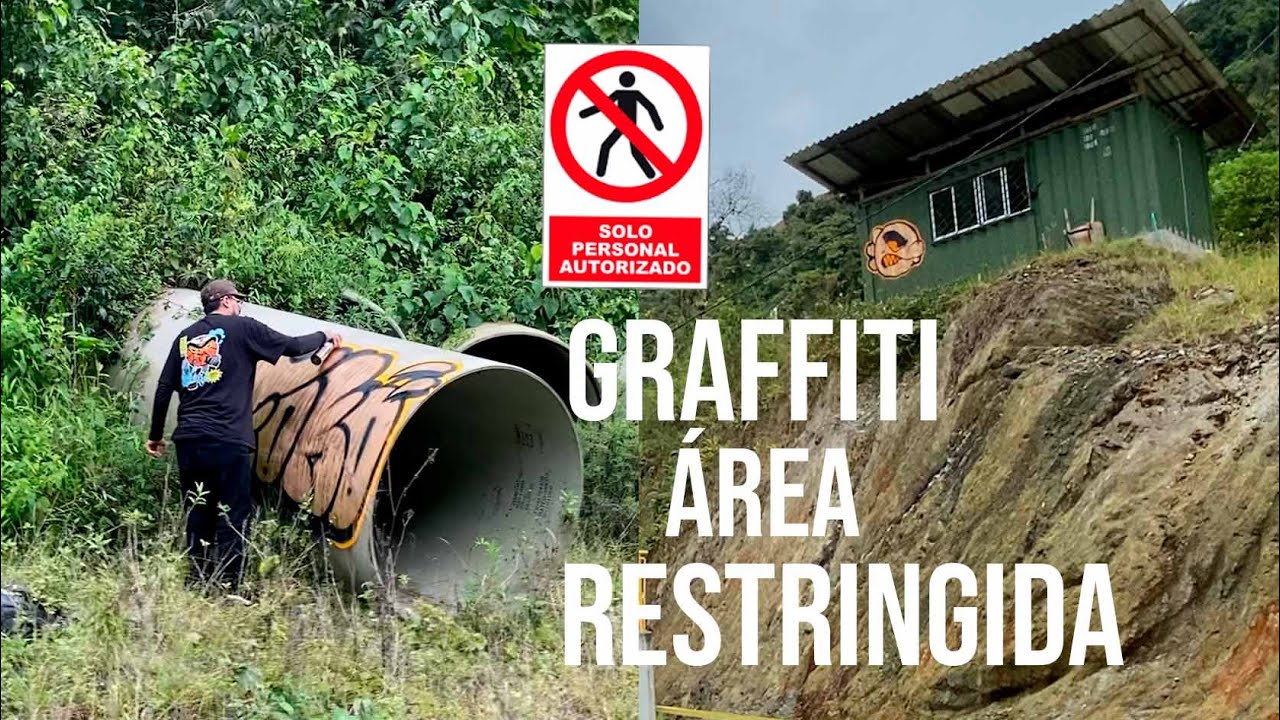 Graffiti en Área R3STR1NGIDA | Zona Bosque Profundo ° Throwups Letras y character