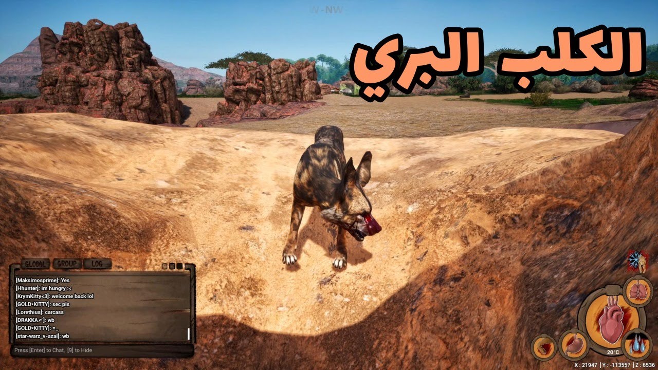 انيميليا سيرفايفل حياة الكلب البري #17 I Animalia Survival I الميزة الهامة