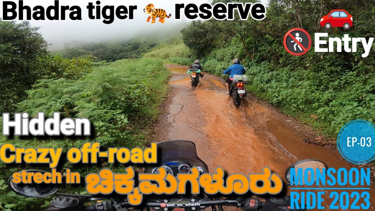 ಭದ್ರಾ ಅಭಯಾರಣ್ಯ Bhadra tiger reserve forest | best offroad place for bikers | chikkamagaluru #hidden