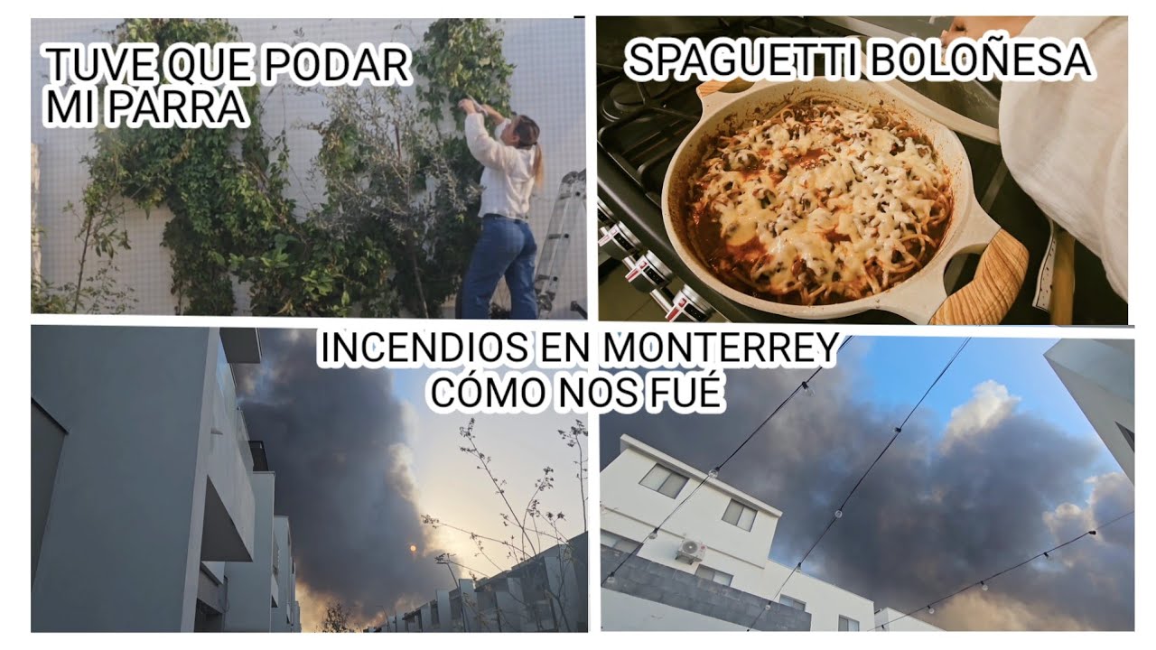 VLOG:MUCHOS INCENDIOS 😪 RECETA DE SPAGUETTI CON BOLOÑESA|TUVE QUE PODAR MUS PLANTAS