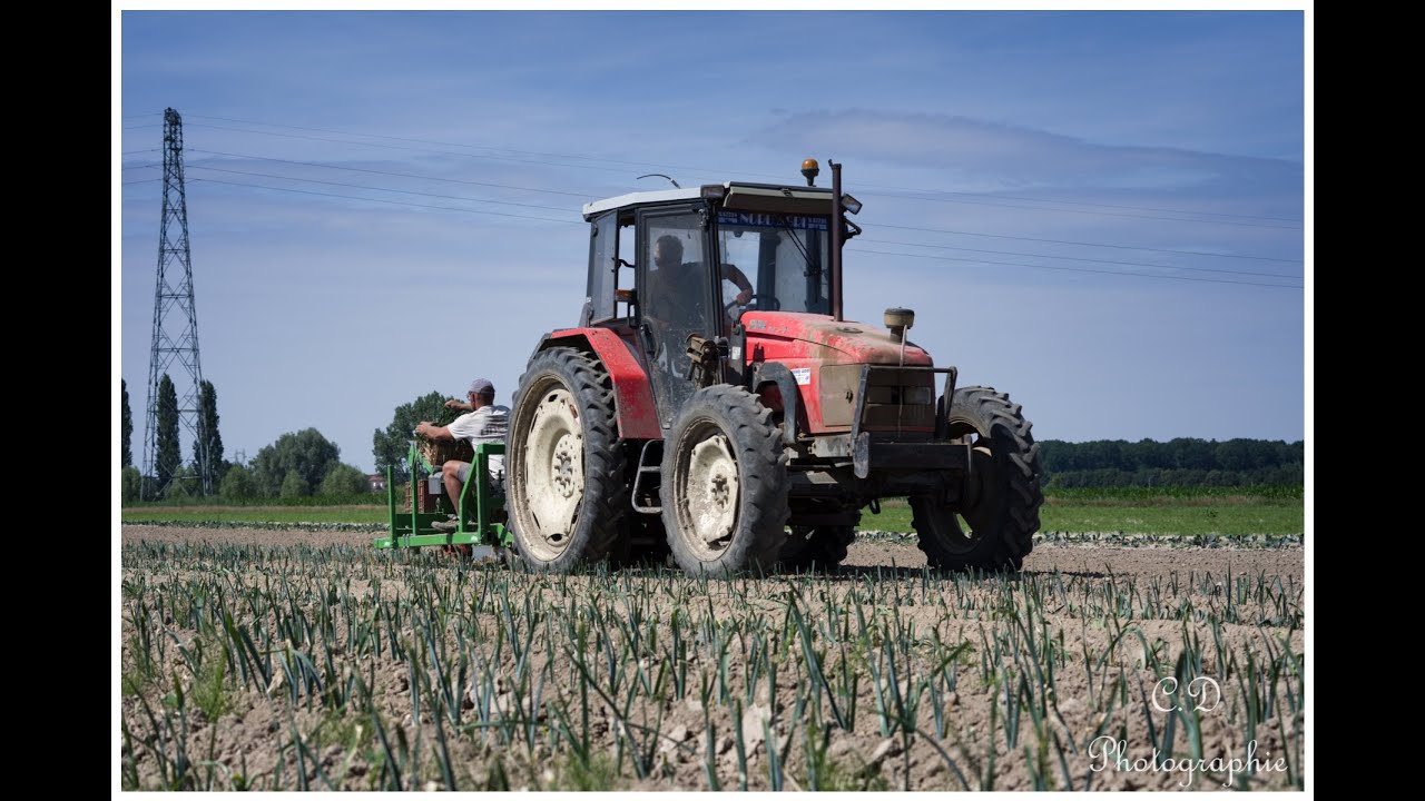 BASRIJS - Planteuse Poireaux 3 rangs &agrave; 60 cm / Ferme Philippin, Aubry du Hainaut (FR,59) /