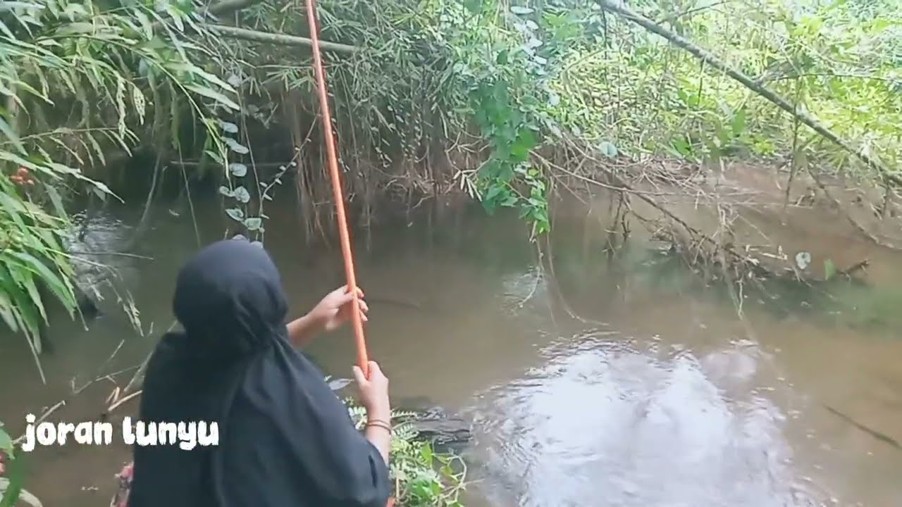 MANCING SORE DI PINGGIRAN #fishing