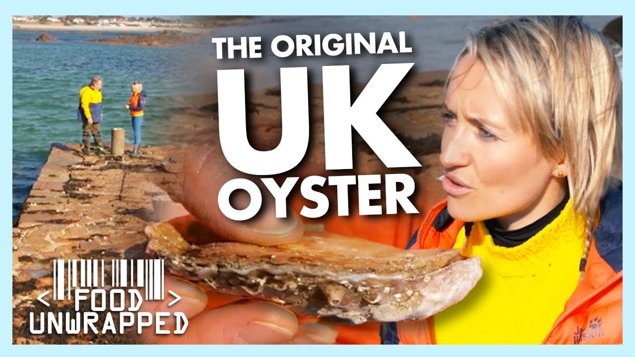 Meet the Farmers Bringing Back the UK Original Oysters | Food Unwrapped