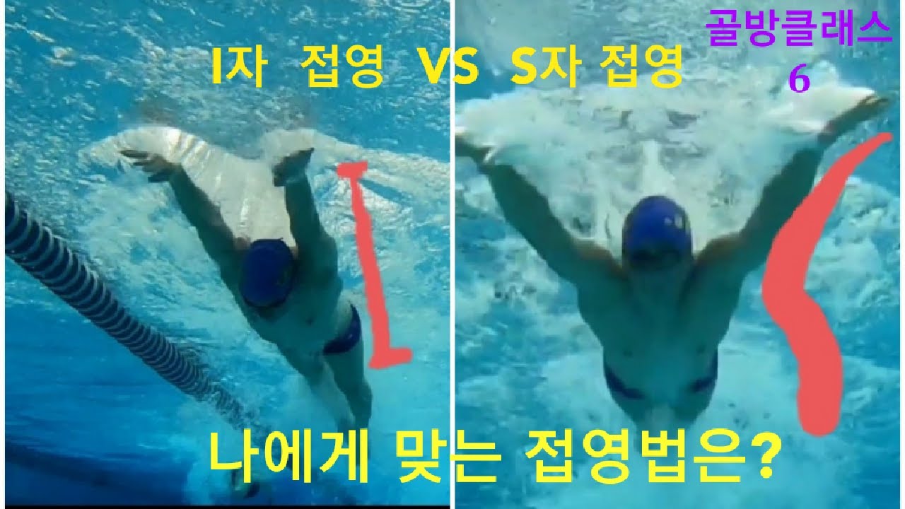 《S자 접영》과 《I자 접영》의 가슴누르기,템포 차이 (Feat. 자유형 배영 롤링 설명)