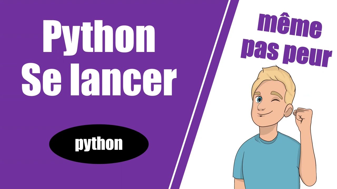 Se mettre à PYTHON : EFFORT MINIMAL