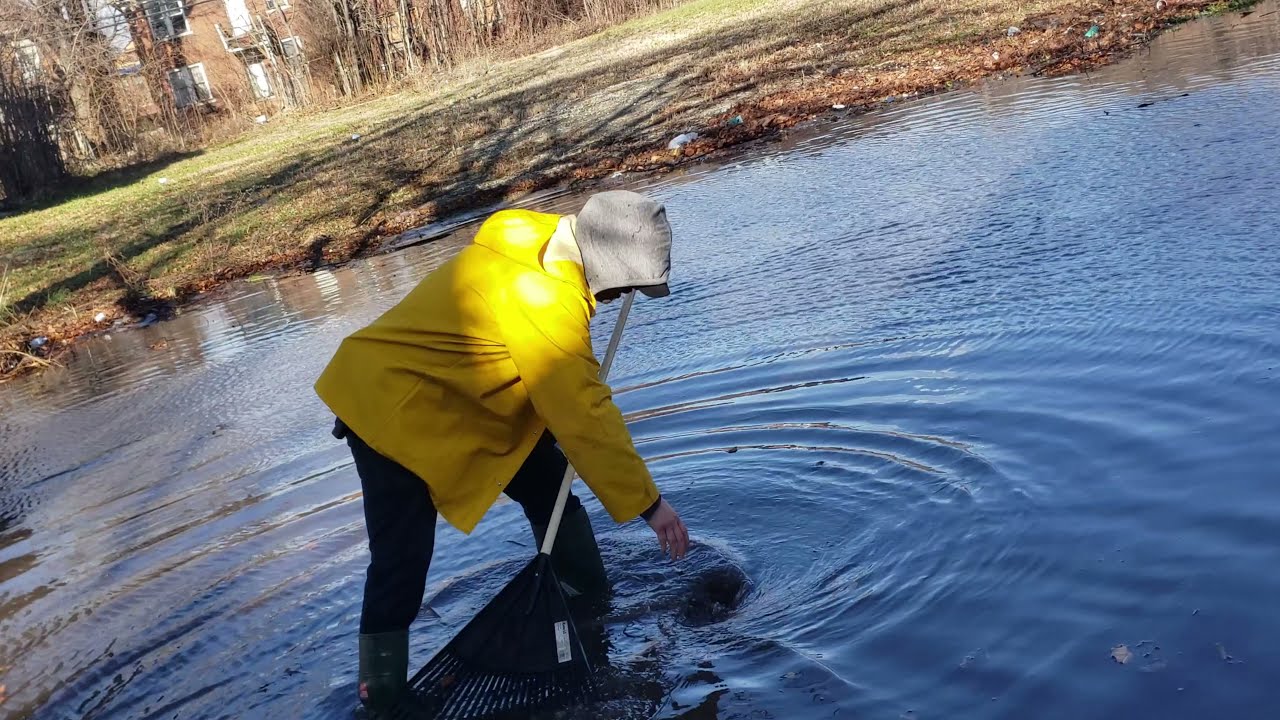GRAPHIC! Draining Detroit residential street, only to find DEAD dog