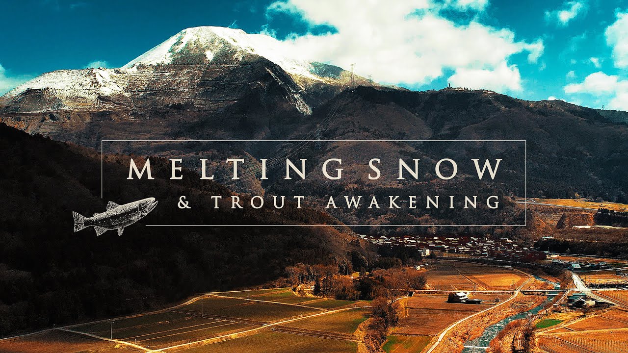 姉川 と 奥伊吹の秘境 │ Melting snow & trout awakening in the deep mountain creek , North Shiga