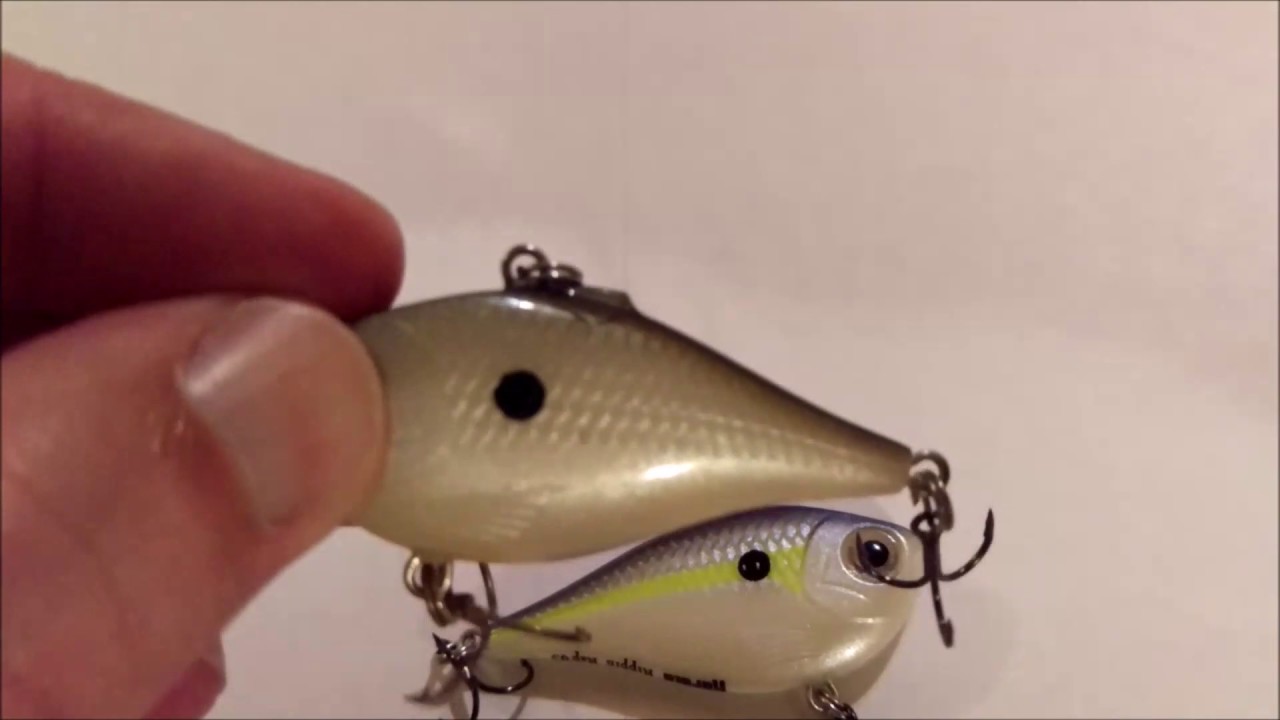 Fall Fishing baits