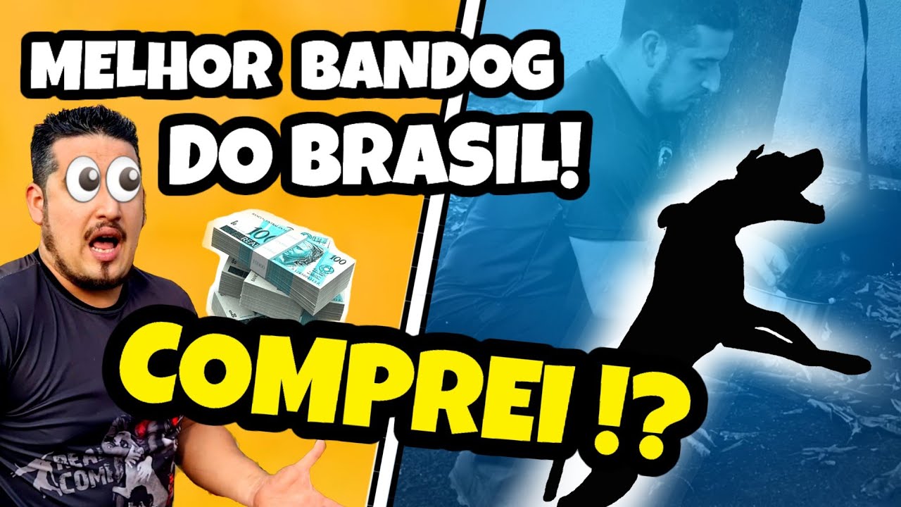 COMPREI O MELHOR BANDOG DO BRASIL!