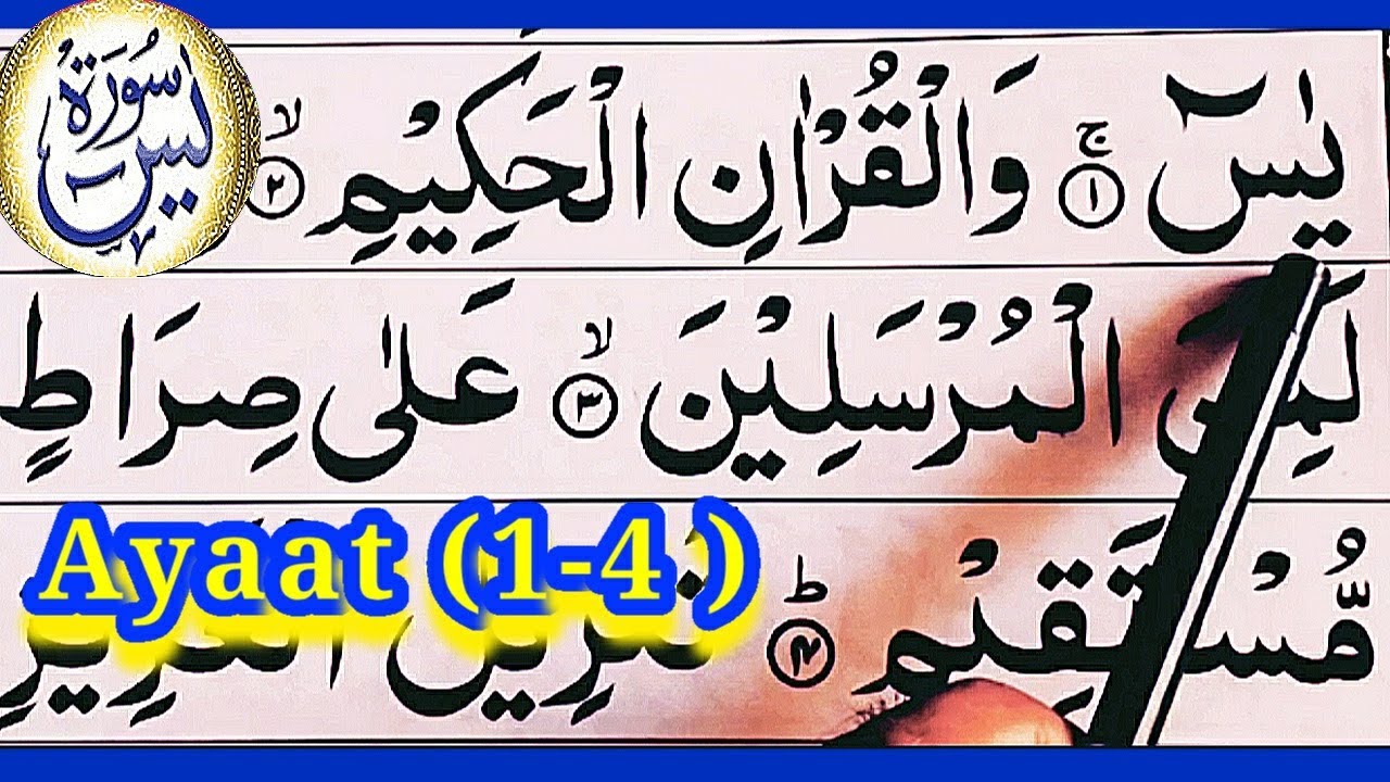 Surah Yaseen (1-4) Ayaat Full HD Surah Quran{word by word and ayaat full,Easy learn Quran for kids}