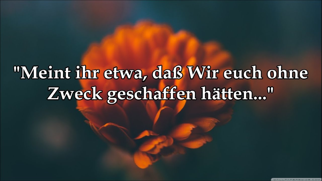 Koran auf deutsch Sura 23 