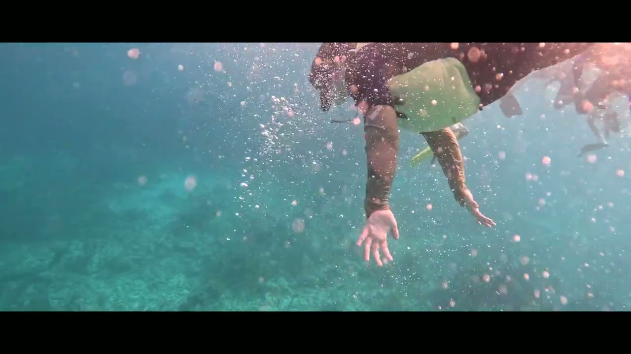 Marine Ecology Immersion 2026