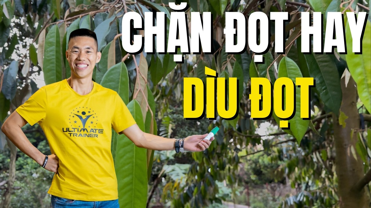 Tại sao chặn đọt sầu riêng bằng hóa chất nhưng 90% nhà vườn vẫn lao vào | Phạm Đức Thiện