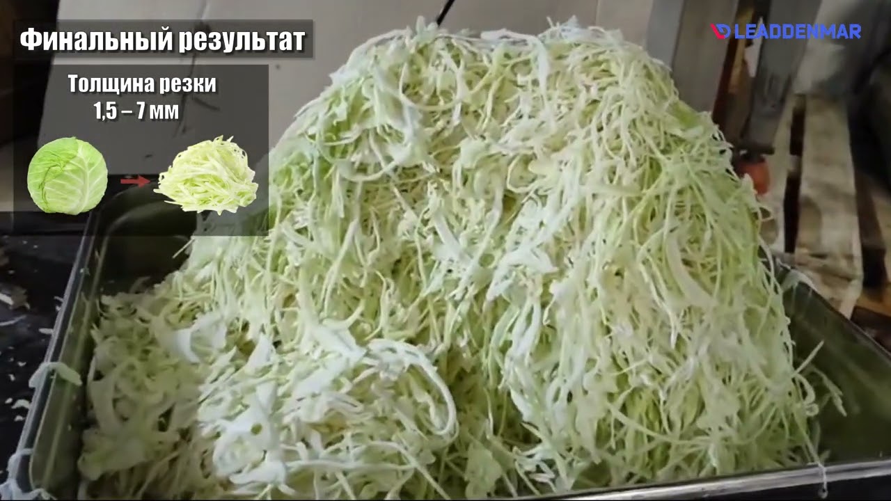 Машина для шинковки капусты Leaddenmar Cabbage Slicer L3000 | Полный обзор от Профи