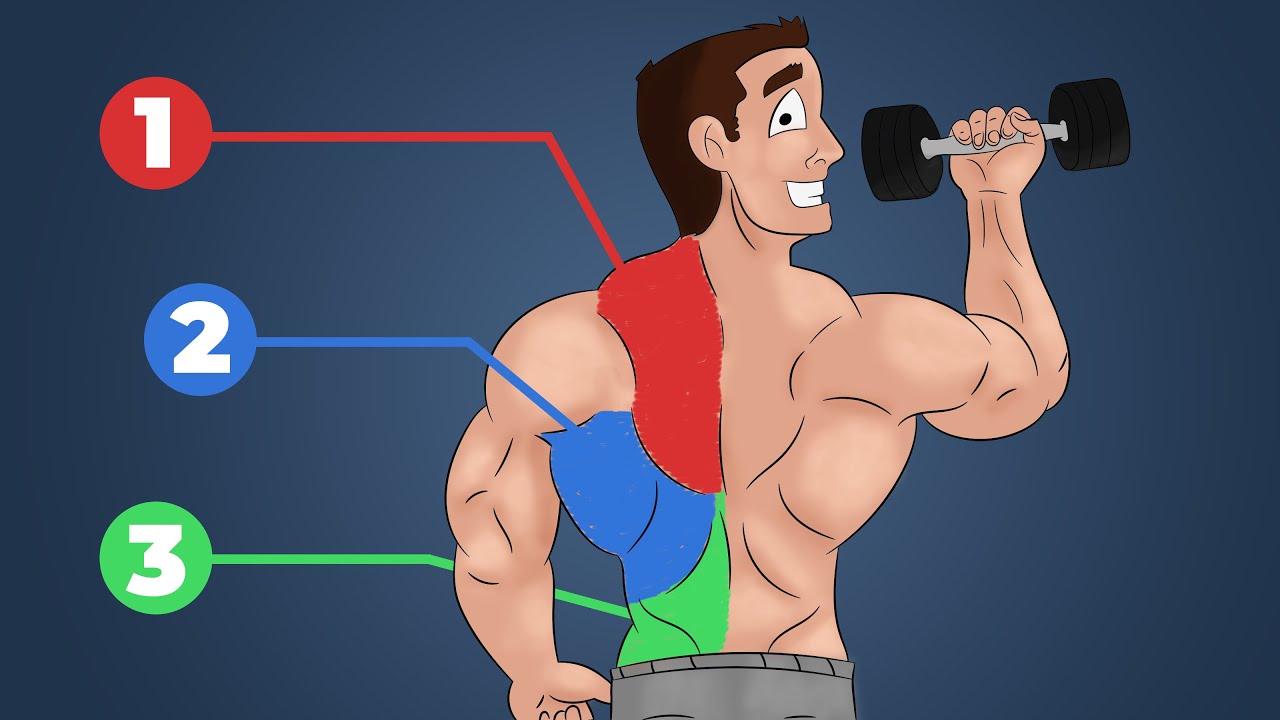 Musculation du dos : 3 exercices pour tout muscler aux haltères.