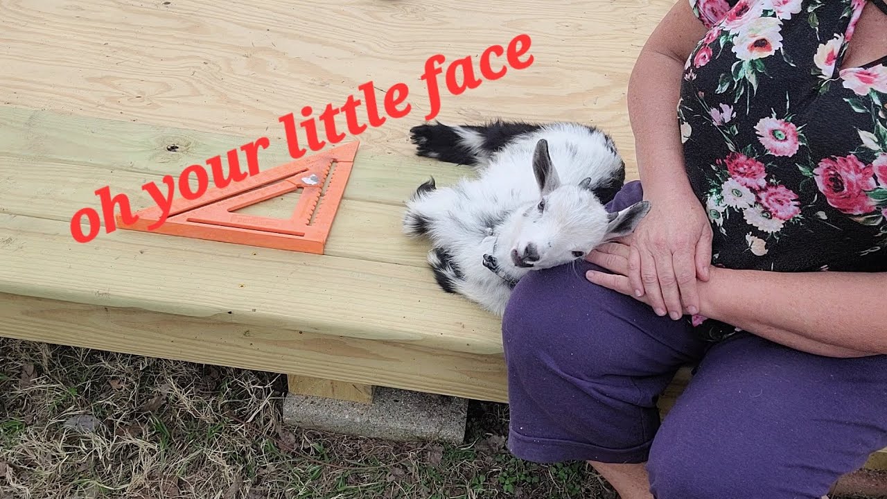Oh, Your Little Face 🤩