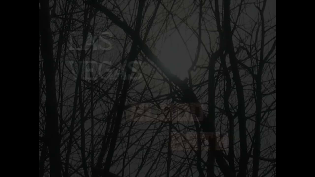 15yo give up on his life to produce witchhouse