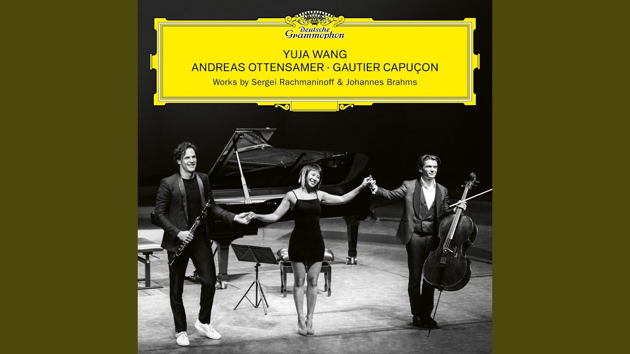 Brahms: Clarinet Trio in A Minor, Op. 114 - I. Allegro