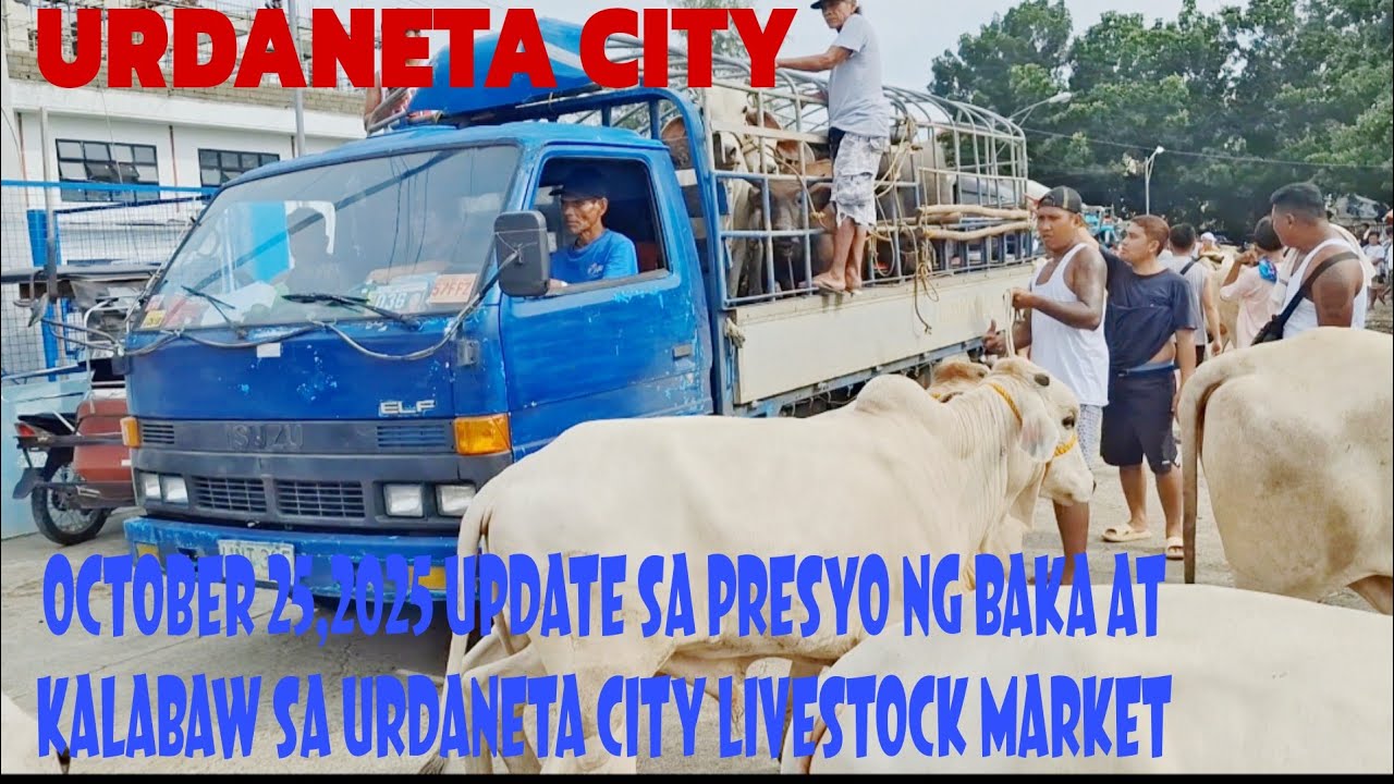 October 25, 2025 Update sa Presyo ng Baka at Kalabaw sa Urdaneta City Livestock Market #animals