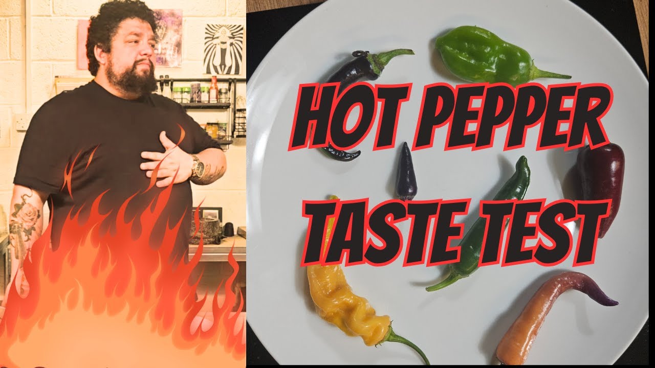 Hot Pepper Taste Test
