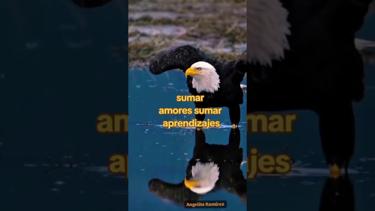 11 de febrero de 2026