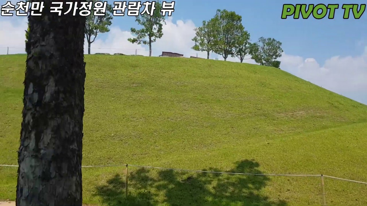 순천만 국가정원 관람차 뷰 풀영상