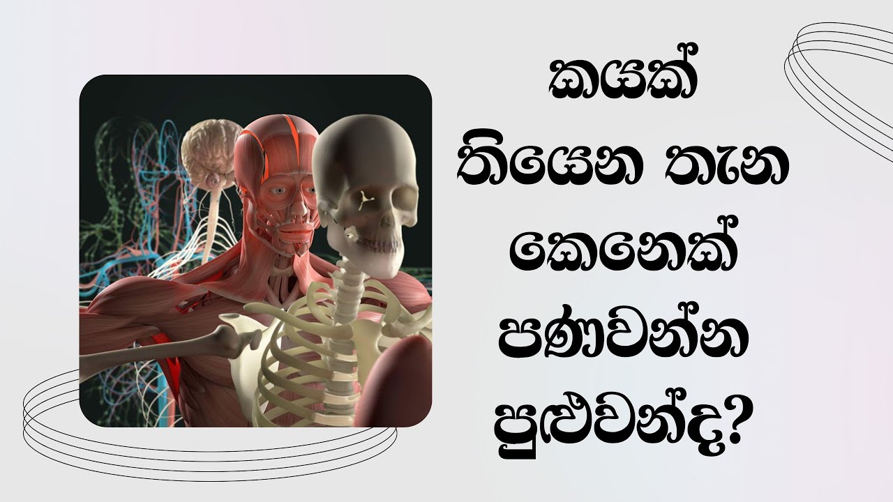 කයක් තියෙන තැන කෙනෙක් පණවන්න පුළුවන් ද..?...Most Ven. Mankadawala Sudassana Thero